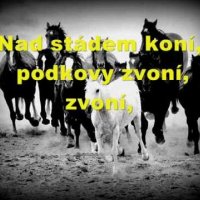 Nad stádem koní